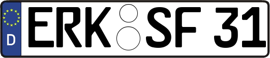 ERK-SF31