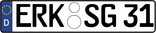 ERK-SG31