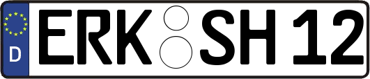 ERK-SH12
