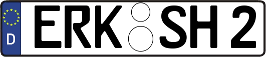 ERK-SH2