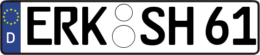 ERK-SH61