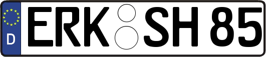 ERK-SH85