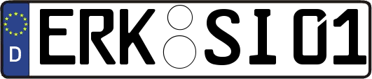 ERK-SI01