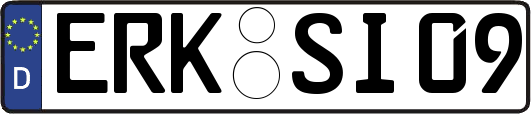 ERK-SI09