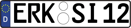 ERK-SI12