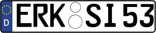 ERK-SI53