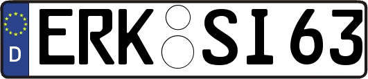 ERK-SI63
