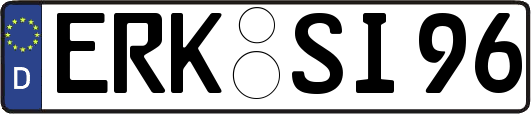 ERK-SI96