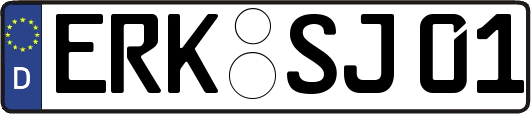 ERK-SJ01