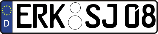 ERK-SJ08