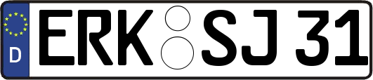 ERK-SJ31