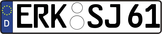 ERK-SJ61