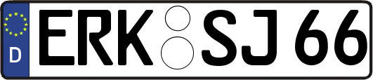 ERK-SJ66