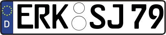 ERK-SJ79