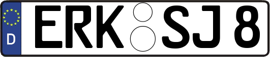 ERK-SJ8