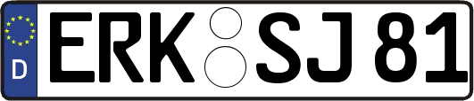 ERK-SJ81