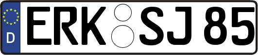 ERK-SJ85