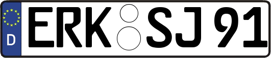 ERK-SJ91