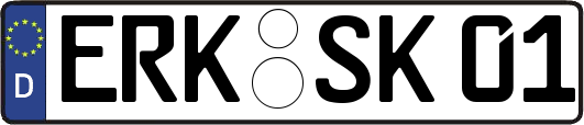 ERK-SK01