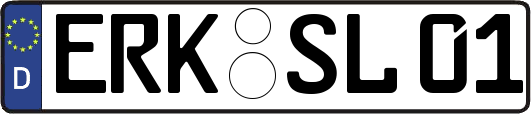 ERK-SL01