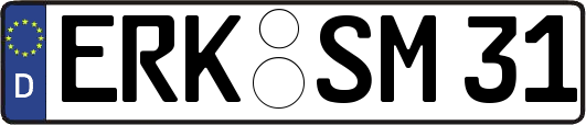 ERK-SM31