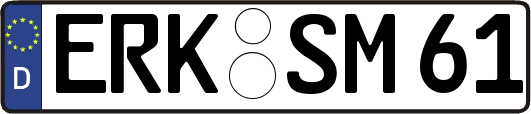 ERK-SM61