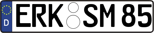 ERK-SM85