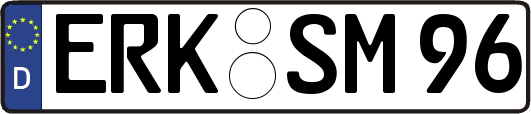 ERK-SM96