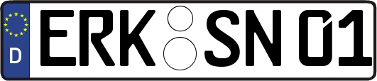ERK-SN01