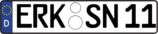 ERK-SN11