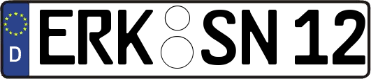 ERK-SN12