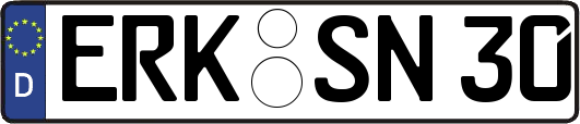 ERK-SN30