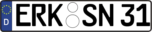ERK-SN31