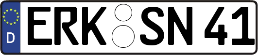 ERK-SN41