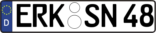 ERK-SN48