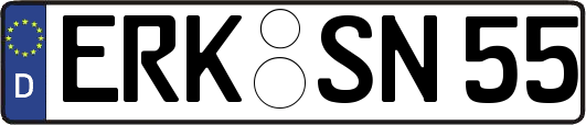 ERK-SN55