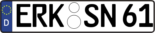 ERK-SN61