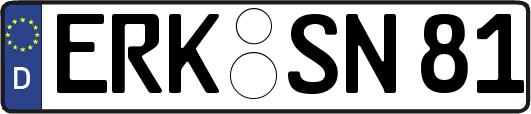ERK-SN81