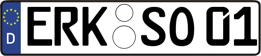 ERK-SO01