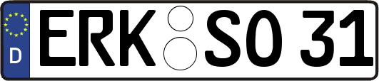 ERK-SO31