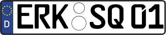 ERK-SQ01
