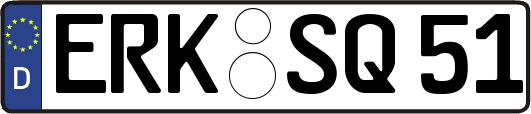 ERK-SQ51