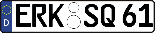 ERK-SQ61