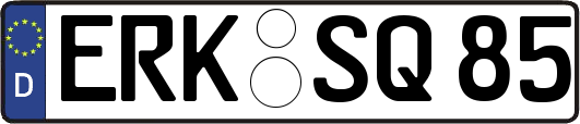 ERK-SQ85