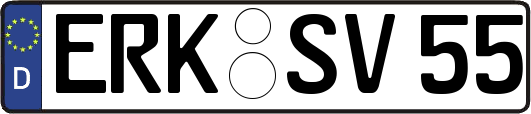 ERK-SV55