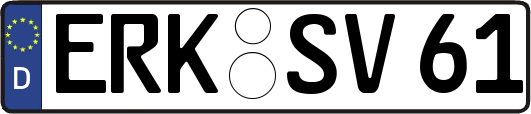 ERK-SV61