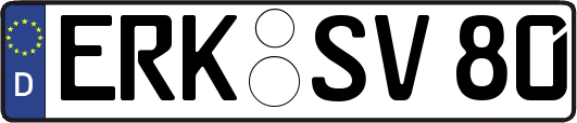 ERK-SV80