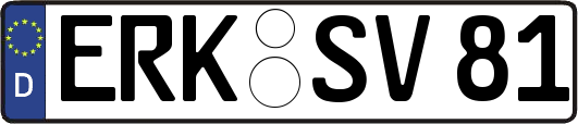 ERK-SV81