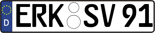 ERK-SV91