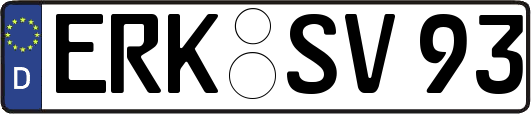 ERK-SV93